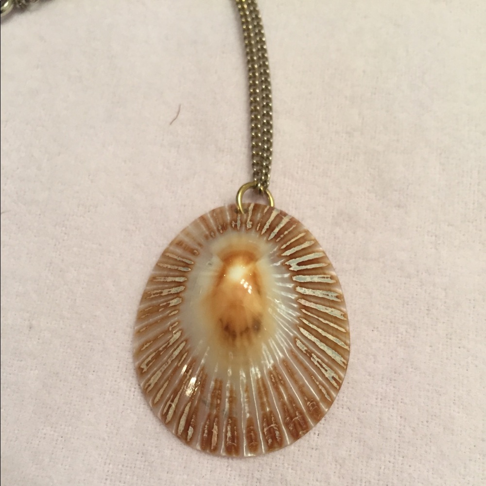 Shell Necklace - Picture 4 of 5